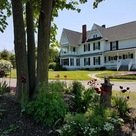 Bed and Breakfast The Fox And The Grapes Lodi Экстерьер фото