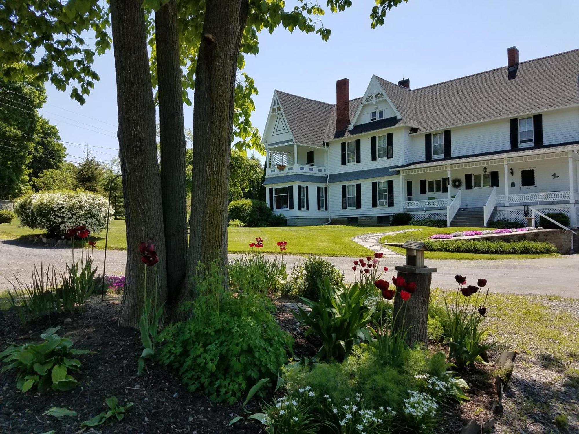 Bed and Breakfast The Fox And The Grapes Lodi Экстерьер фото